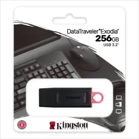 MEMORIA USB 256GB KINGSTON